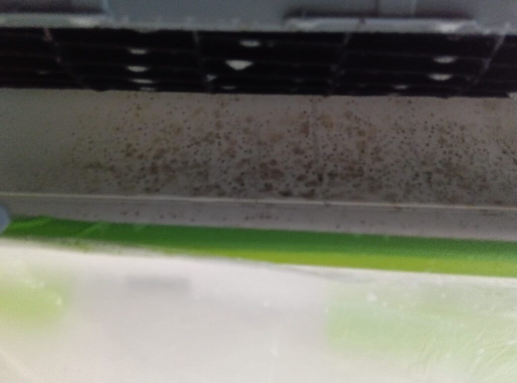 エアコンクリーニングの施工前の汚れ