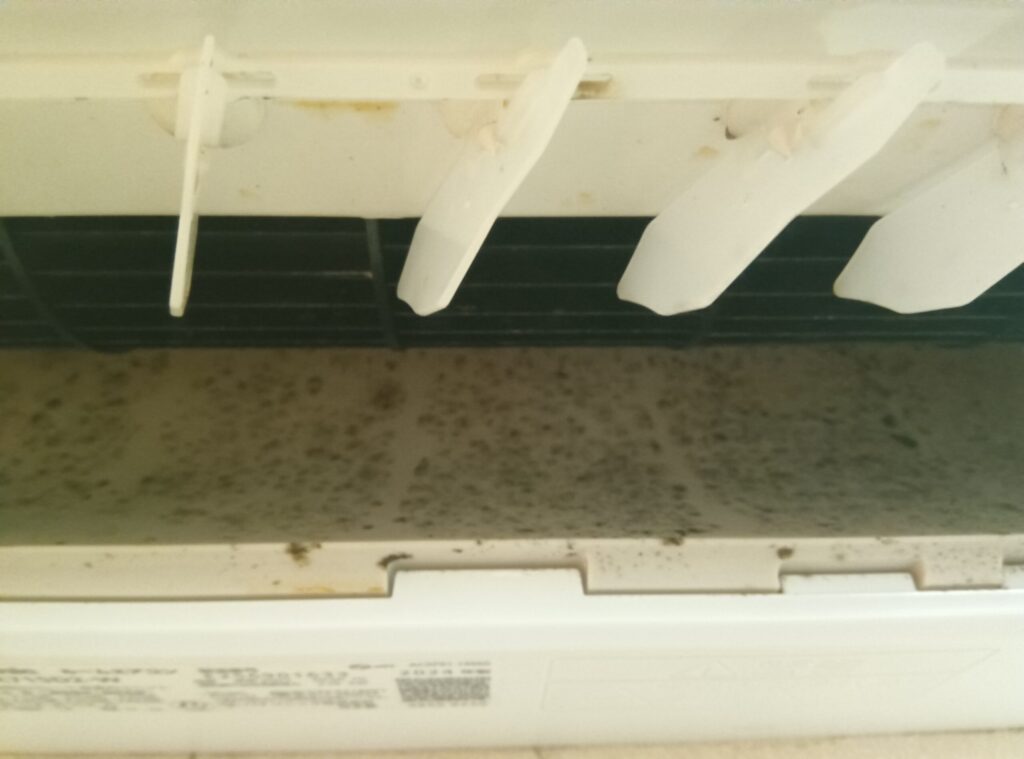 エアコンクリーニングの施工前の汚れ